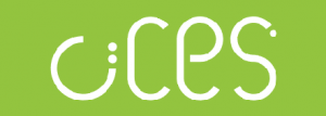 Logo CIICESI
